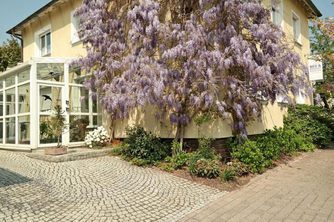 Pension Franzbaecker Warburg Exterior foto